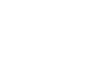 The Taste of America Challenge